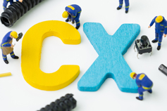 Customer Experience (CX) and Brand Activation Professional