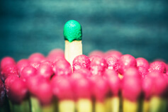 Adaptive Leadership: Tools and Tactics